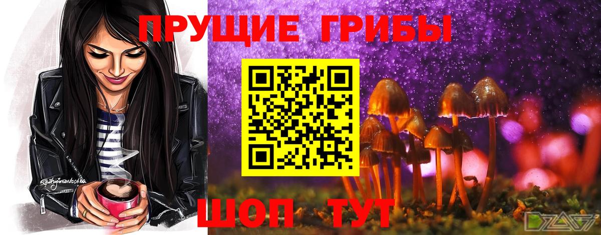 Россия  Галлюциногенные грибы GOLDEN TEACHER  Псилоцибиновые грибы Psilocybe  Вход с VPN 