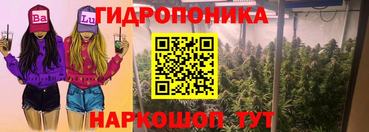 Каннабис SATIVA & INDICA  Шишки марихуана планчик  МАРИХУАНА сатива  Вход с VPN  Россия 